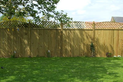 Bow Top with Small Diamond Trellis on Top image